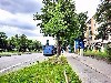 M�nchen - Ingolst�dter Str.  31 (Dekade 18/2024)